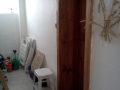 IMG781